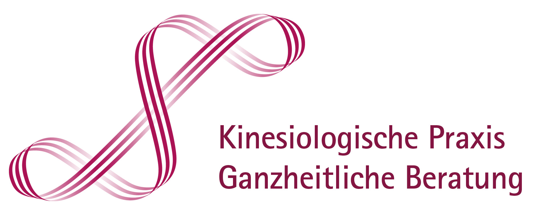schmelter-kinesiologie